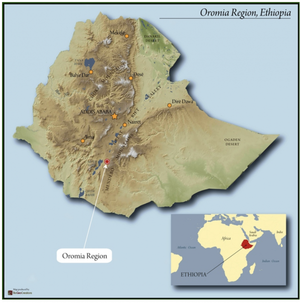 ETHIOPIA SIDAMO 4 NATURAL FTO OROMIA GRAINPRO DRIED FIG, BERRIES, BLACK TEA, 2% MILK