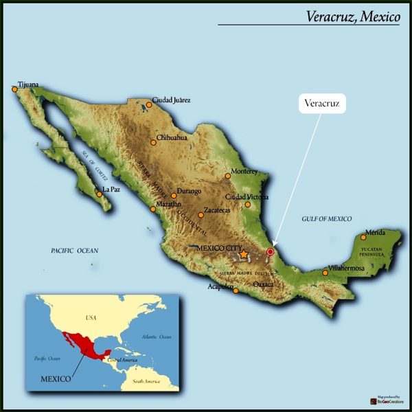 Mexican Cabonoch - Image 4
