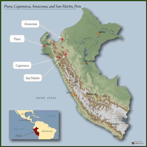 Peru FT-FLO/USA Organic Norandino - Image 2